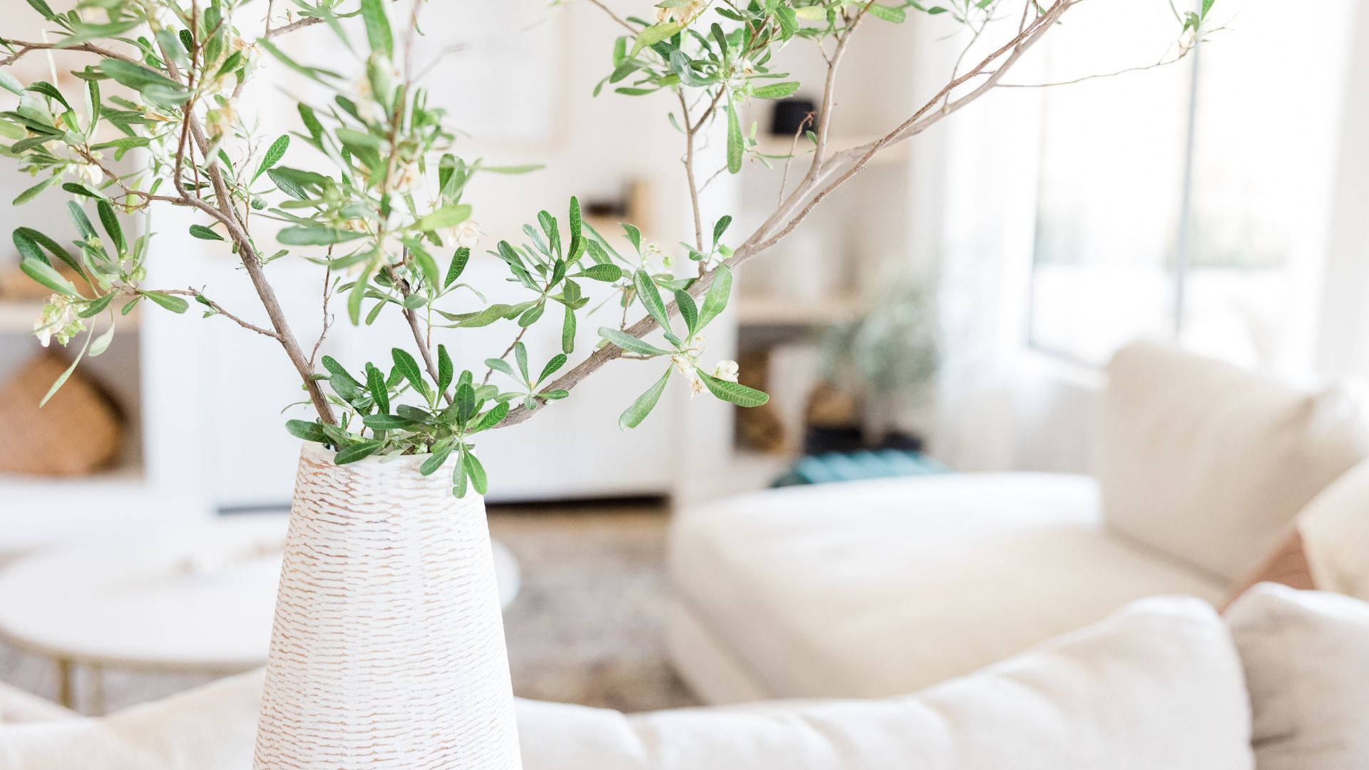 A plant in a white vase on a table